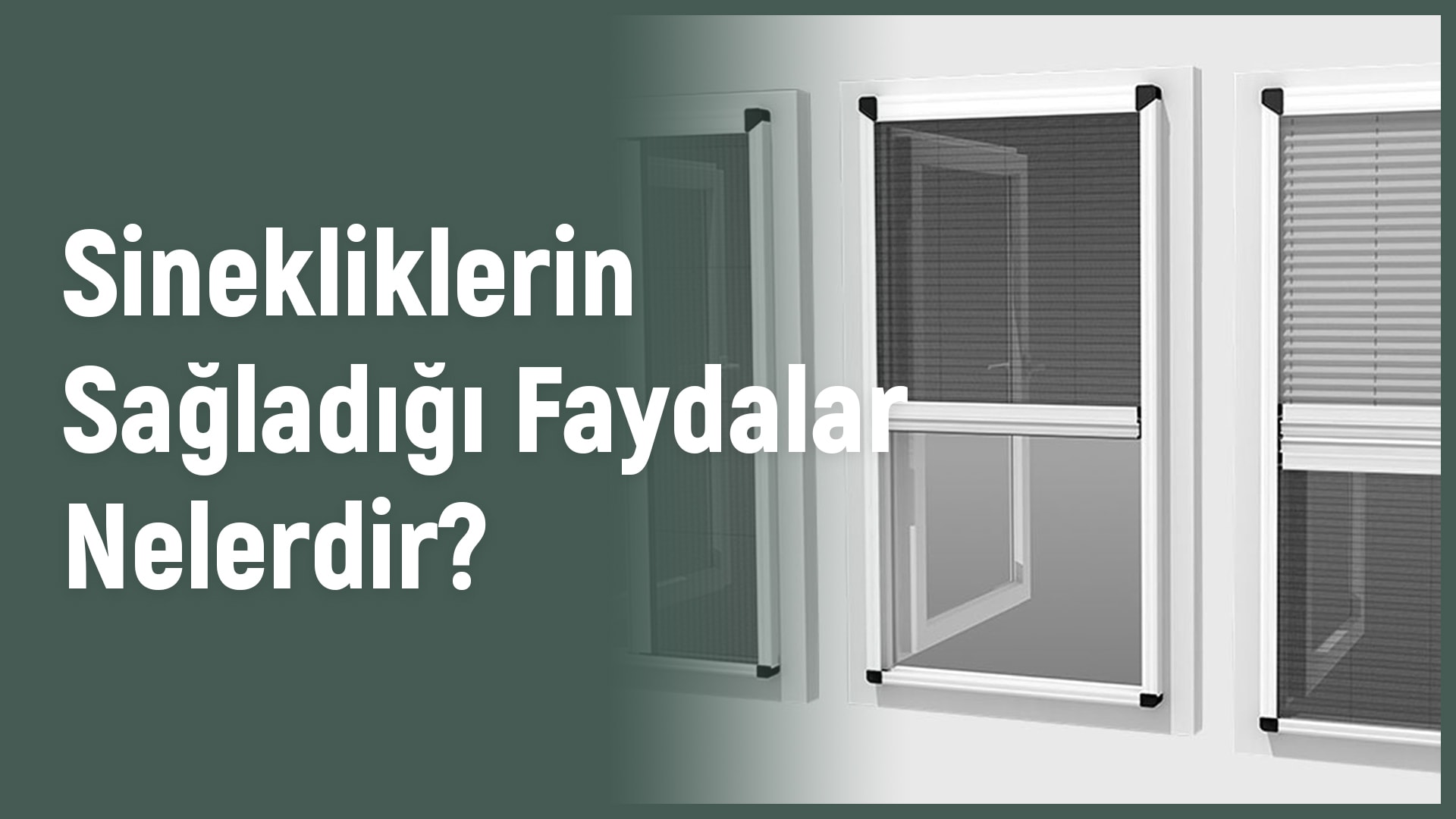 Sinekliklerin Sağladığı Faydalar Nelerdir?