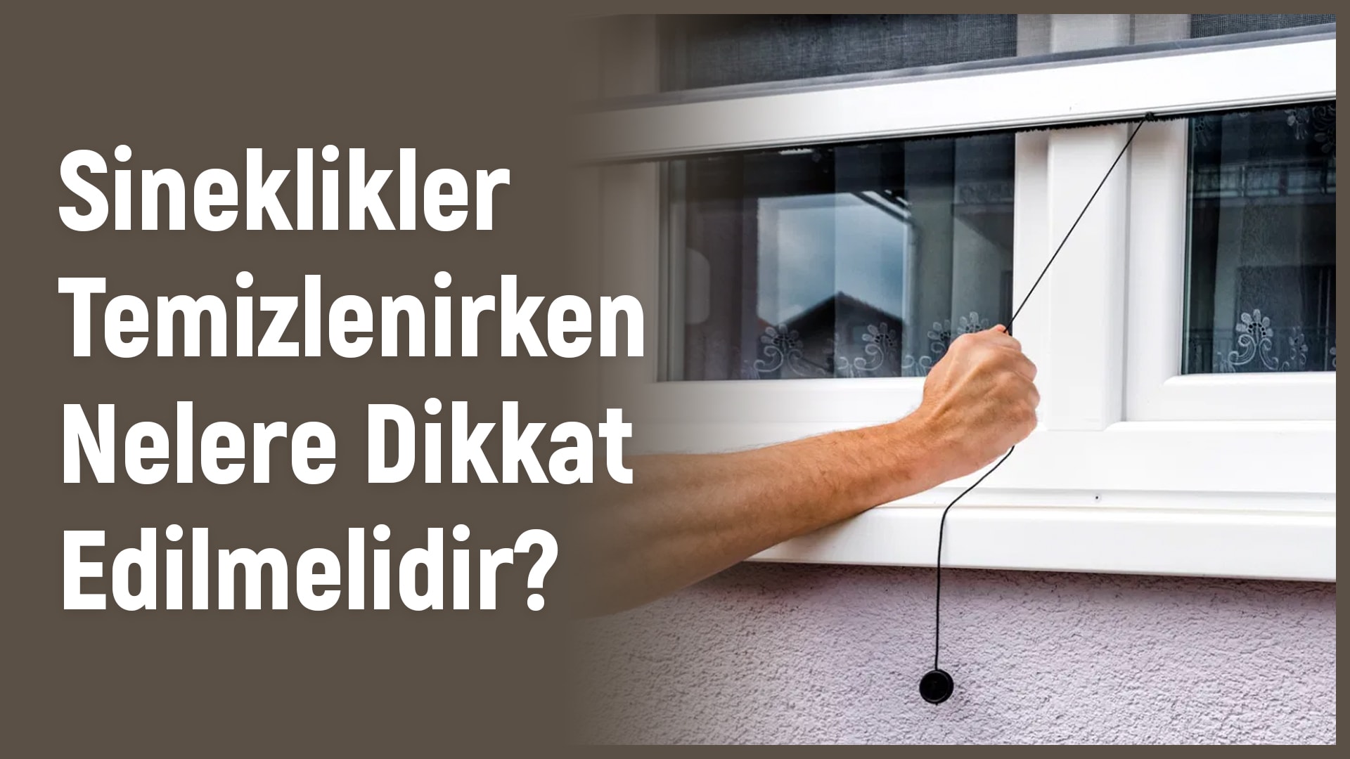 Sineklikler Temizlenirken Nelere Dikkat Edilmelidir?